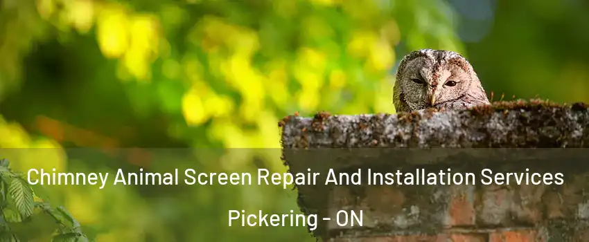  Chimney Animal Screen Repair And Installation Services Pickering - ON
