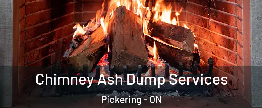  Chimney Ash Dump Services Pickering - ON