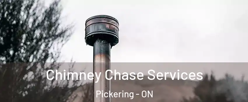  Chimney Chase Services Pickering - ON