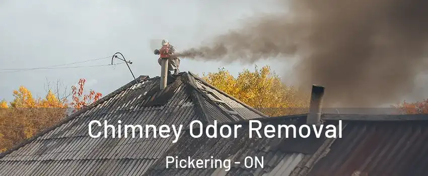  Chimney Odor Removal Pickering - ON