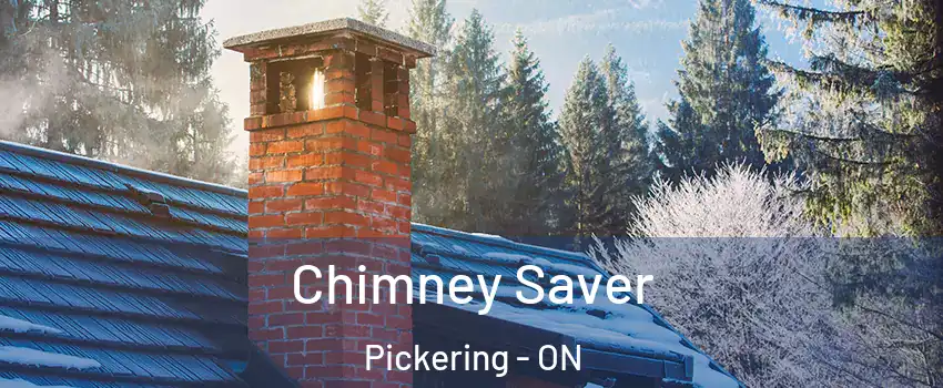  Chimney Saver Pickering - ON