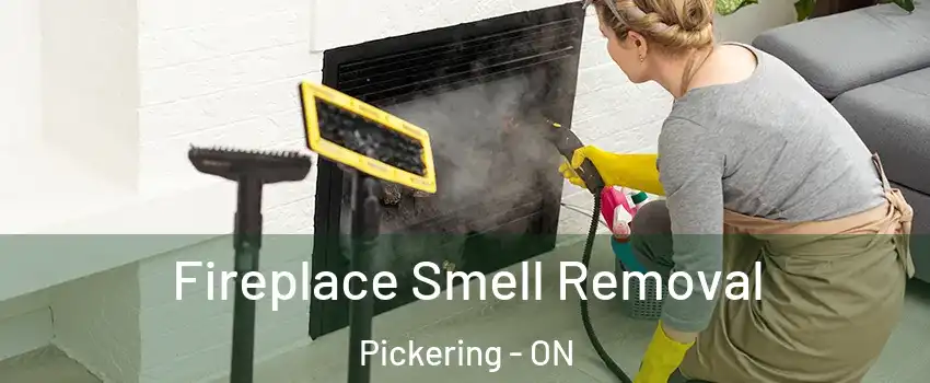  Fireplace Smell Removal Pickering - ON