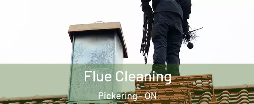  Flue Cleaning Pickering - ON