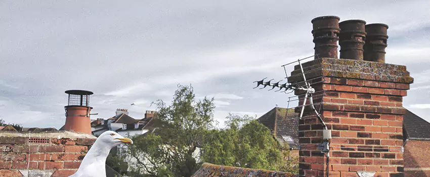 Chimney Cleaning And Restoration in Pickering, Ontario