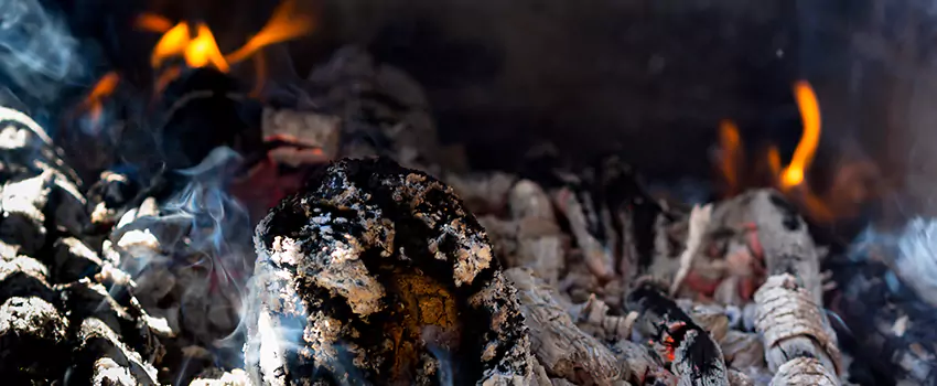 Creosote Removal Experts in Pickering, ON