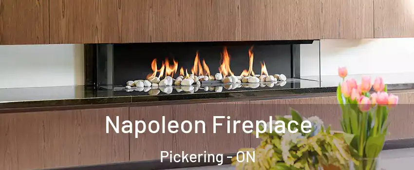  Napoleon Fireplace Pickering - ON